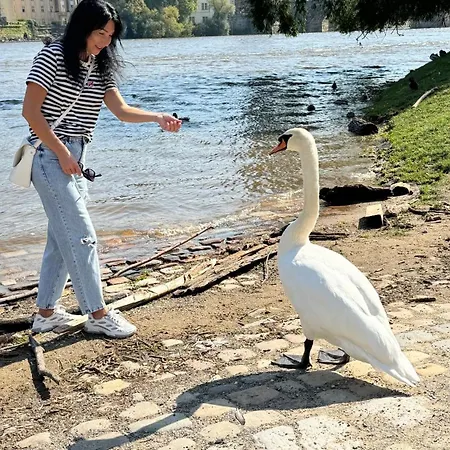 гостевой дом проживание в семье * Praga
